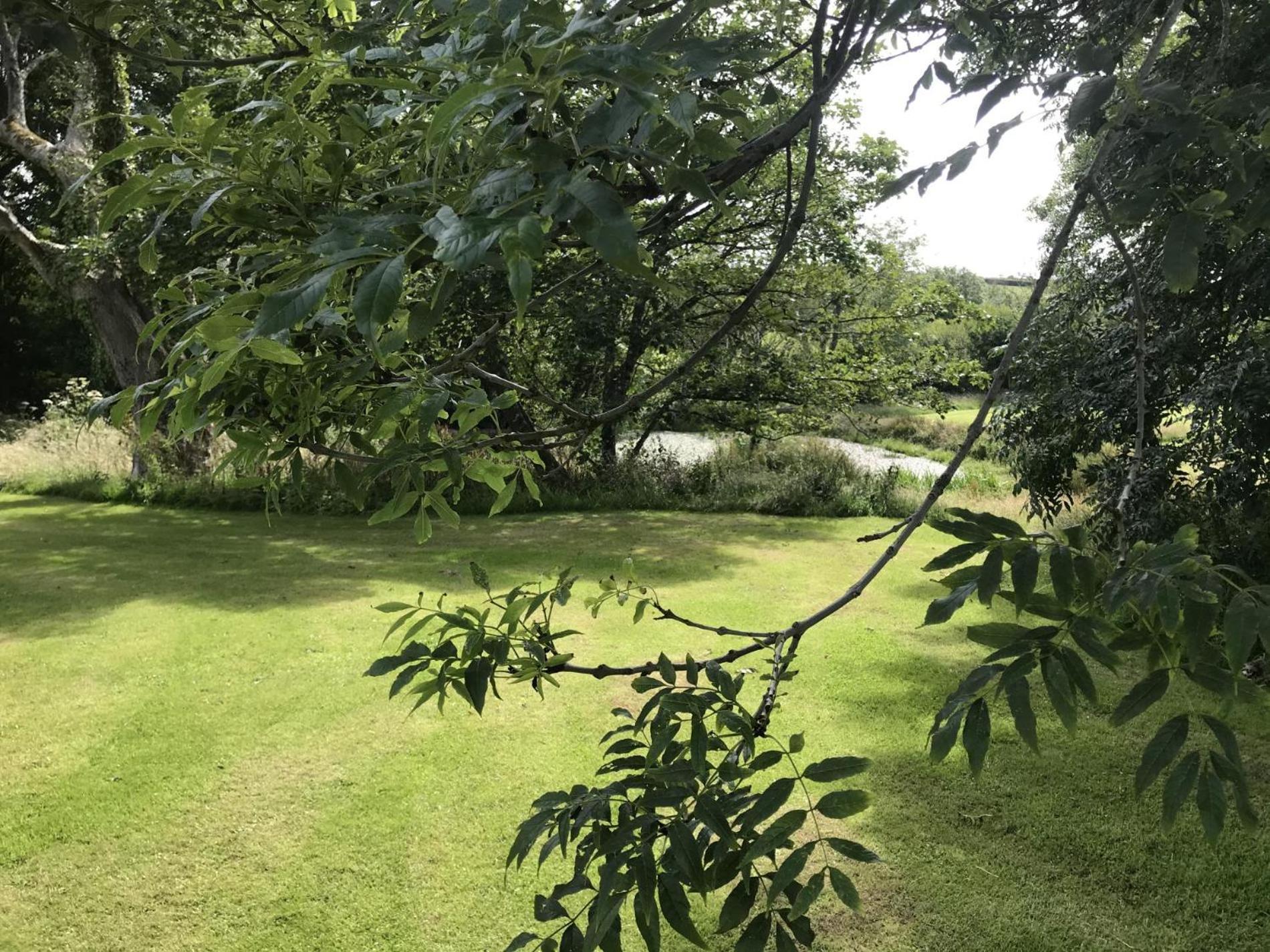 Fern Cottage - Luxurious 1 Bedroom - Blossom Farm Johnston Exterior photo